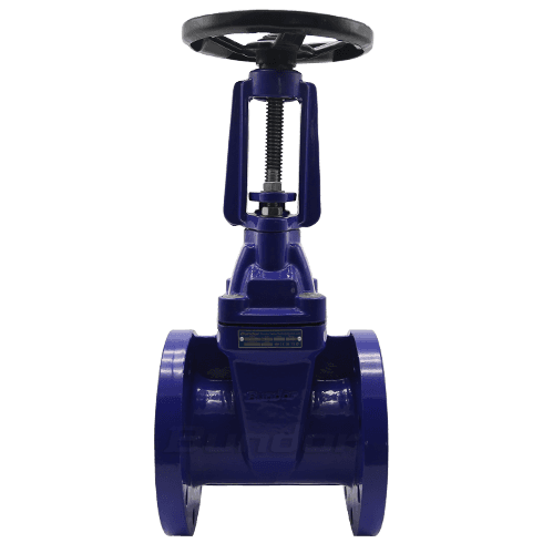 BS5163/GB Ring Stem Gate Valve