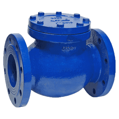 Swing Check Valve