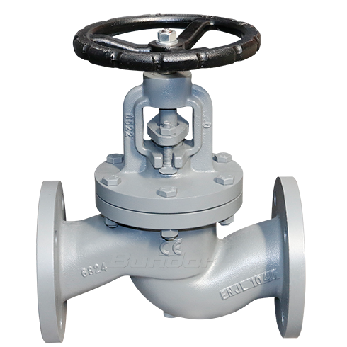 J41Type Flange Cast Iron Globe Valve