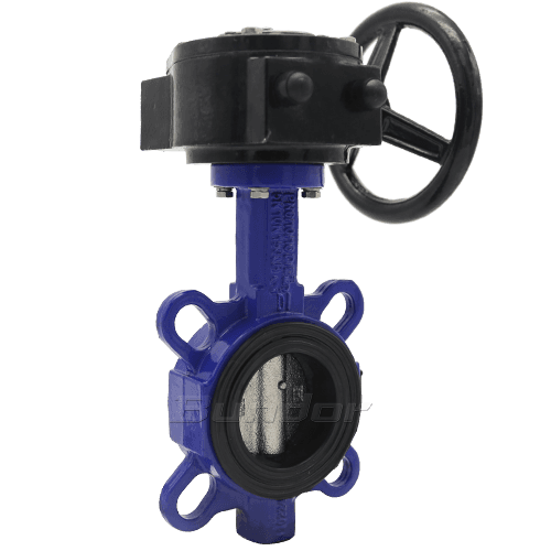 Ductile Iron Worm Gear Butterfly Valve